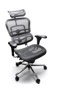 Ergonomic Chair