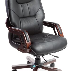 Office Chair for Director